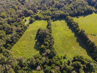 2359 E Gooseneck Rd, Sparta, TN 38583 - photo 7