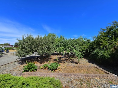 Apple, cherry & plum tree orchard