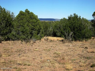 349130 No Name, Ash Fork, AZ 86320 - photo 2