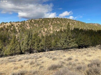 0 Shop Gulch unit 20573615, Mount Vernon, OR 97865 - photo 7