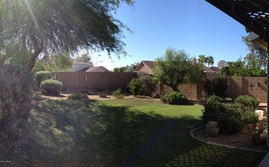 Great Backyard