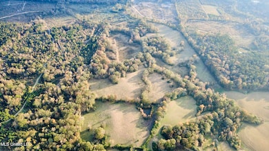 3142 King Rd, Wesson, MS 39191 - photo 7