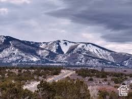 317 N Creek Ln unit 5, Monticello, UT 84535 - photo 4