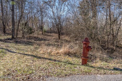 4.42 ac Hidden River Ln, Sparta, TN 38583 - photo 5