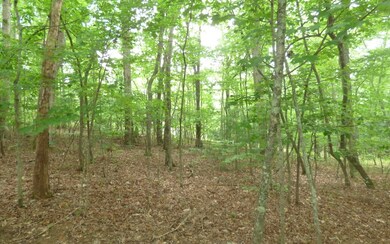 Additional View