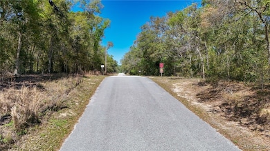 161 W Norvell Bryant Hwy, Hernando, FL 34442 - photo 7