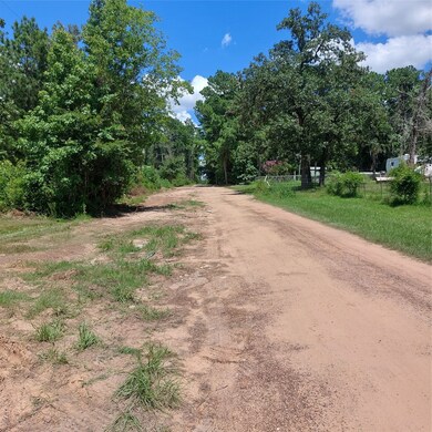 8550 Yellow Poplar Ln, Plantersville, TX 77363 - photo 4