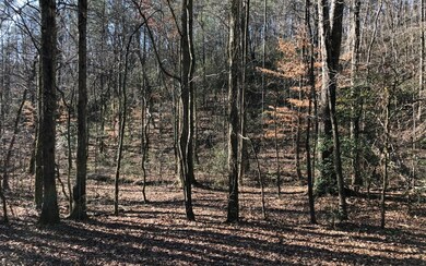 Additional View