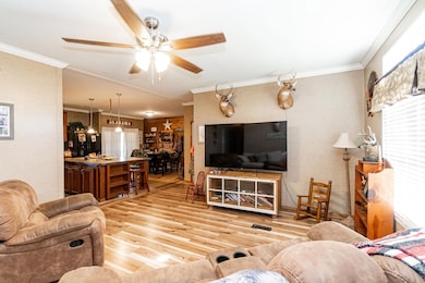 1120 Salters Mill Rd, Plains, GA 31780 - photo 4