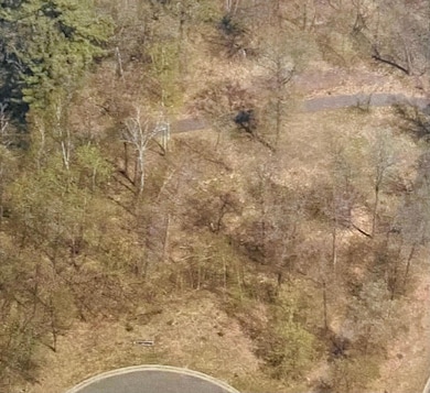 15963 Old Stonebridge Trail, Brainerd, MN 56401 - photo 2