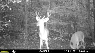 0 Sandspur Loop, Baconton, GA 31716 - photo 7