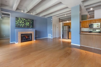 Rennaissance Place unit 313, Chicago, IL 60615 - photo 6