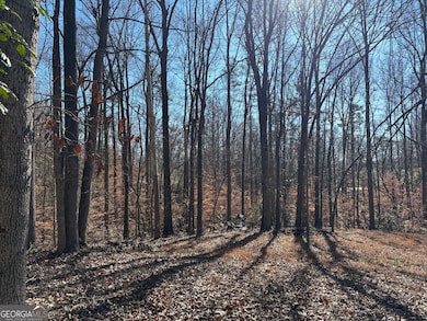 0 Lewis Dr unit 10650541, Lavonia, GA 30553 - photo 2