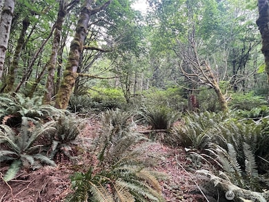 2 XX Scenic Dr NE, Poulsbo, WA 98370 - photo 4