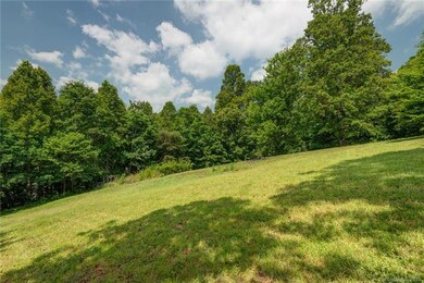 99999 Southern Pines Place unit 46/pt47, Leicester, NC 28748 - photo 3