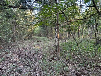 7 acres in Walnut Shade, MO
