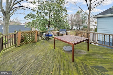 709 Lees Ave, Collingswood, NJ 08108 - photo 5