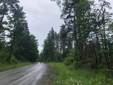 1172 Cobb Rd, Walden, VT 05873 - photo 3