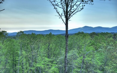 923 Big Timber Rd, Mineral Bluff, GA 30559 - photo 3