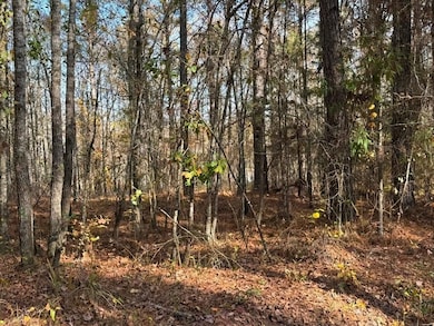 Youngblood Rd, Sparta, GA 31087 - photo 5