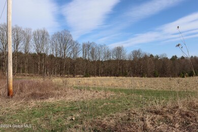 1 Chuck Hollow Dr, Milton, NY 12020 - photo 3