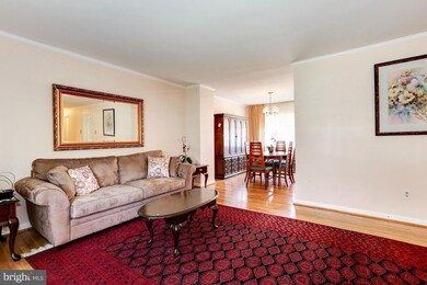 14203 Greenspan Ln, Rockville, MD 20853 - photo 6