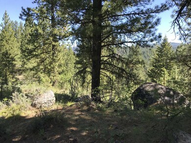 Peppered Beautiful Rock Outcroppings