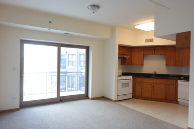 2322 S Canal St unit 709, Chicago, IL 60616 - photo 4
