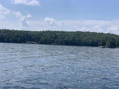 88 Cow Island, Tuftonboro, NH 03816 - photo 4