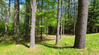 157 Sweden Rd, Bridgton, ME 04009 - photo 6