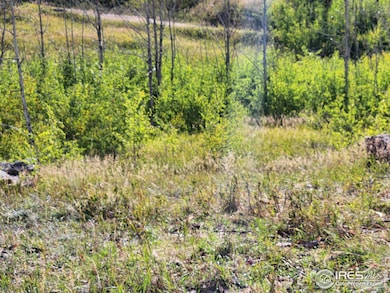 0 Crystal Mountain Rd unit 1047926, Bellvue, CO 80512 - photo 4