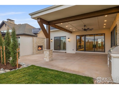 3674 Tall Grass Ct, Timnath, CO 80547 - photo 2