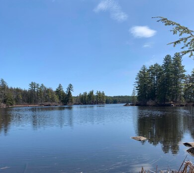 View in the cove looking out at the lake