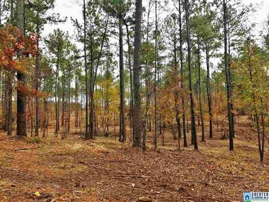 10 Highway 69 unit Parcel 5, Chelsea, AL 35043 - photo 2