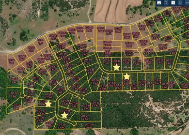 615 Roy Coffee Ct, Weatherford, TX 76087 - photo 5