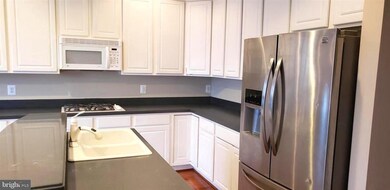 9037 Ribbon Falls Loop, Bristow, VA 20136 - photo 7