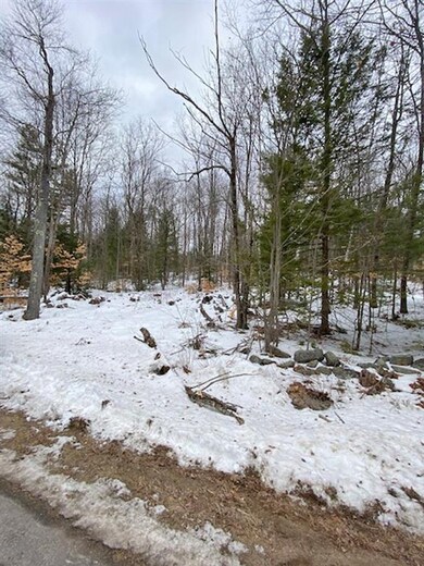 0 Mountain Rd unit 4844004, Center Tuftonboro, NH 03816 - photo 2