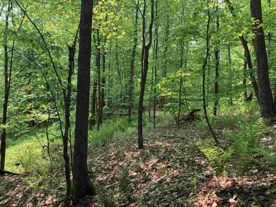 00 Brook Rd, Stowe, VT 05672 - photo 3