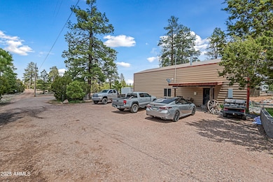 3080 Aztec --, Overgaard, AZ 85933 - photo 5