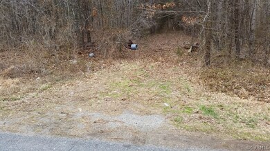 Old Drive Way on East side of property