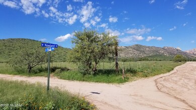 Newland & S. Palm Rd (7)