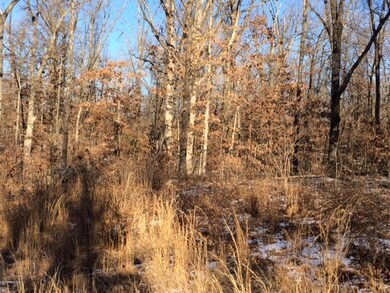 Woods 4