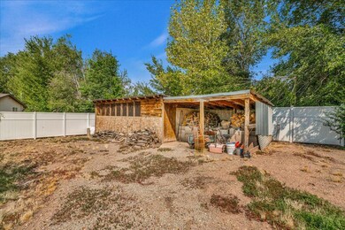 Shed - Chicken coop