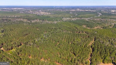 0 W 4th Street Extension unit 10650393, Alma, GA 31510 - photo 7