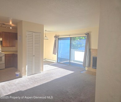 1527 Blake Ave unit 211, Glenwood Springs, CO 81601 - photo 4