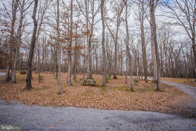 290 Moss Ln, Great Cacapon, WV 25422 - photo 4