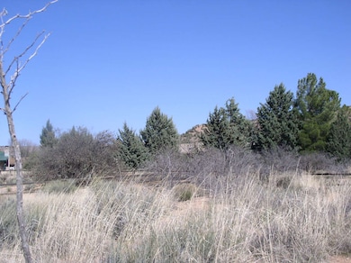 unlisted-address, Cornville, AZ 86325 - photo 4