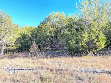 38 Danube Dr, Holiday Island, AR 72631 - photo 2