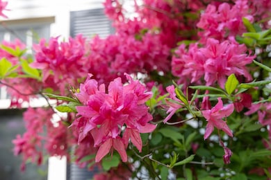 179 Arbor Ln, Colchester, VT 05446 - photo 3