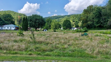 36 Rabbit Run Rd, Cunard, WV 25840 - photo 5